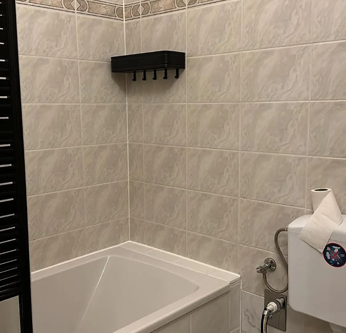 Mapi Apartment Dresden Tyskland